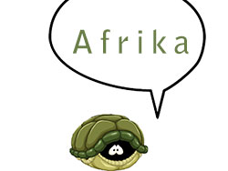 Shallow African values